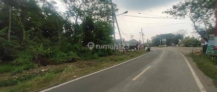 Tanah Komersial Jln Tanjung Lesung Cigeulis, Pandeglang, Banten 1