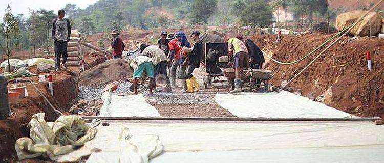 Tanah Murah Gratis Pohon Durian 1