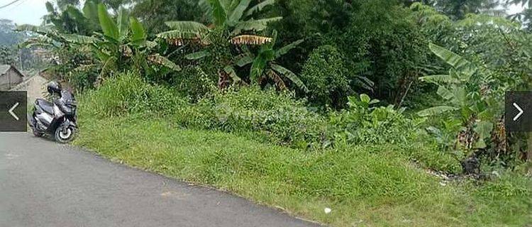 Tanah 9000 meter di jalan cagak subang, cocok utk perumahan atau berkebun 1