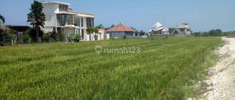 Hot List Di Jual Tanah Lokasi Cemagi Mengwi Badung 1