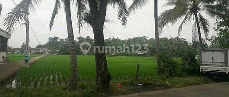 Tanah Mainroad Di Cianjur 7000m2 Dekat Terminal Ciranjang 1