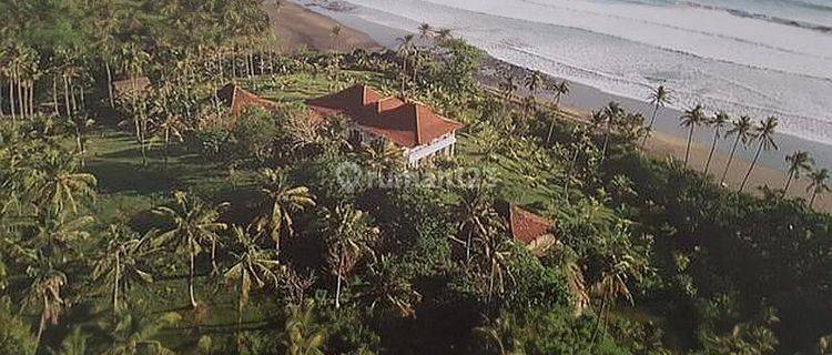 Tanah dijual di bali 3.5 ha harga murah dan butuh uang  1