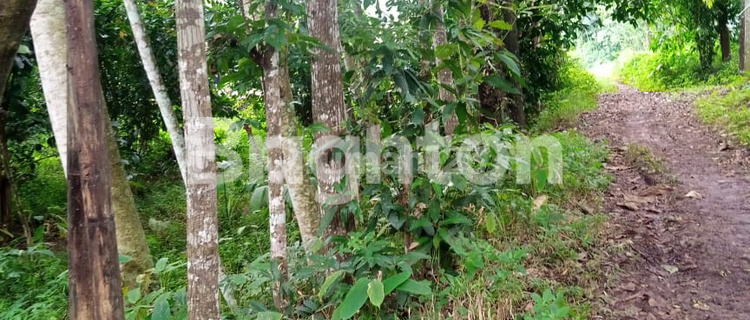 TANAH PEKARANGAN LOKASI DEKAT KOTA MANDIRI BSB MIJEN SEMARANG 1