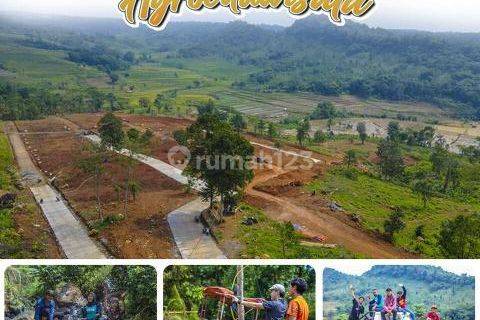 Tanah Kebun Subur Gratis Pohon Durian Harga Terjangkau 1