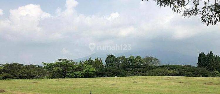 Tanah Kavling Di Rancamaya Golf Estate Jual Sesuai NJOP Terbaru 1