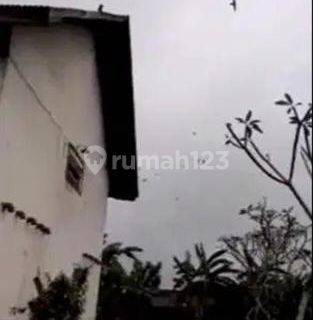 TANAH BONUS BANGUNGAN SARANG BURUNG WALET AKTIF TURUB HARGA 1