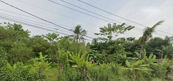 Tanah Kavling nempel jalan raya Teluk Jambe-Pangkalan Karawang Barat 1