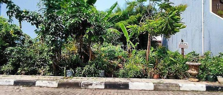 Tanah Kavling Cantik di Taman Kedoya Indah Jakarta Barat 1