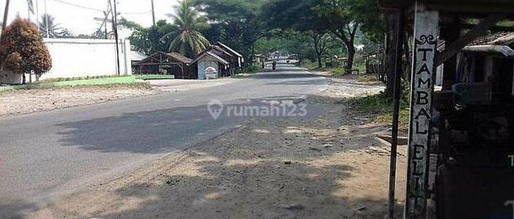 kavling di rangkas bitung 6,5 ha, Bitung, Tangerang 1