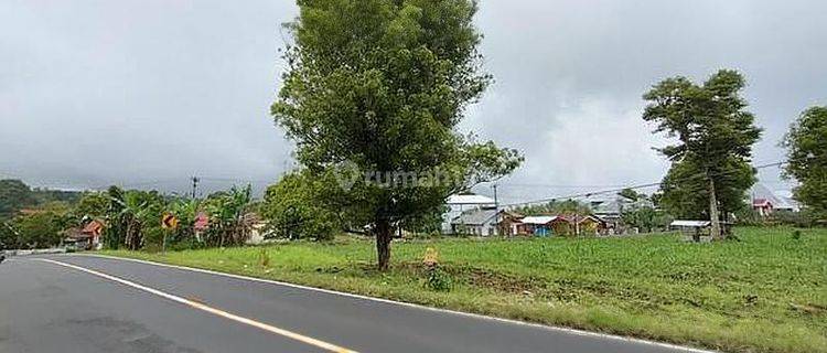 Tanah Luas Rata Strategis di Pinggir Jalan Raya Sonder Kawangkoan Manado 1