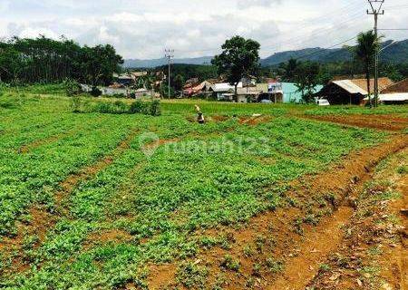 Perkebunan Jampang Tengah Sukabumi Selatan 1