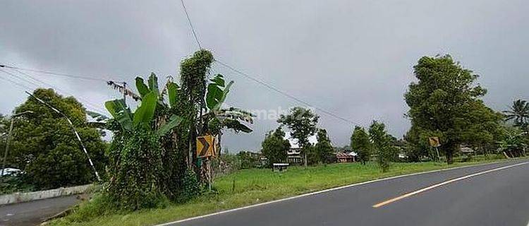 Tanah Komersil, Hook, Kawasan Berkembang Pinggir Jalan Raya Sonder Atas Minahasa Manado 1