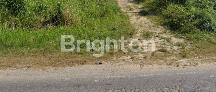 Tanah Luas dan dipinggir jalan lintas medan banda aceh 1