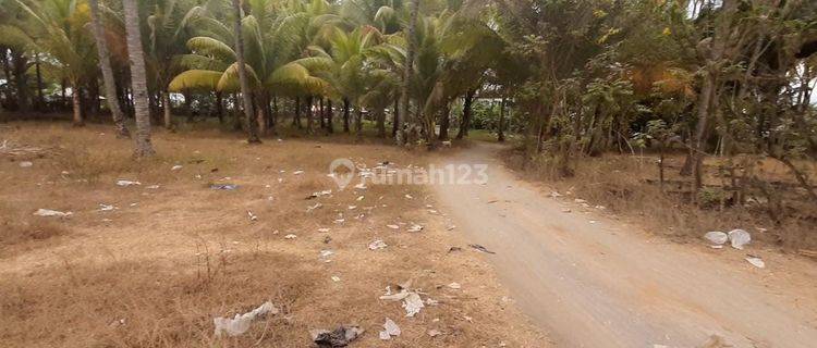 Tanah di Tanjung Desa Medana Lombok Utara 1