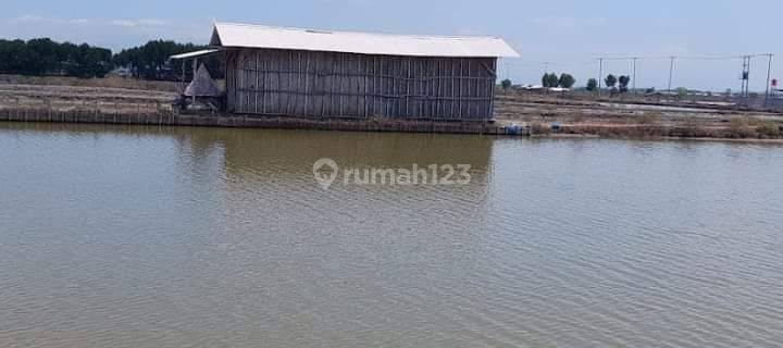 Lahan Tambak Udang/Ikan Malakasari Gebang Cirebon 1