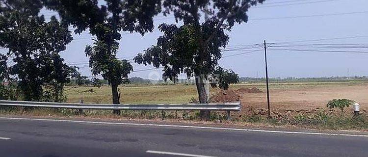 Tanah Industri dipinggir Jalan Raya Pantura Brebes 1