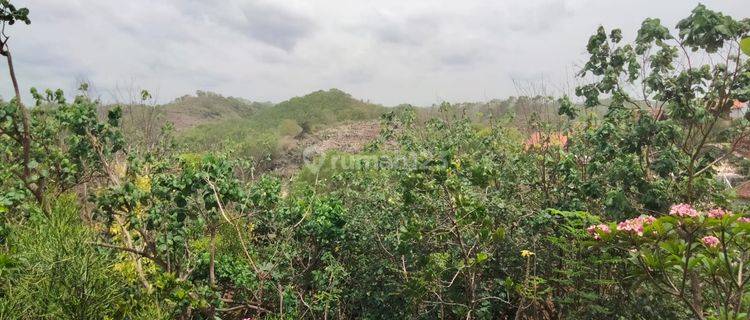 Tanah Eksklusif 2000 Meter Persegi Di Kawasan Pantai Mbhuluk Gunung Kidul 1