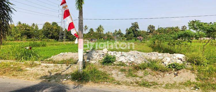 TANAH PEKARANGAN STRATEGIS. SELANGKAH STADION MAGUWOHARJO 1