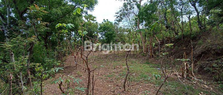 Cheap Land for Houses in Bondalem Buleleng district  1