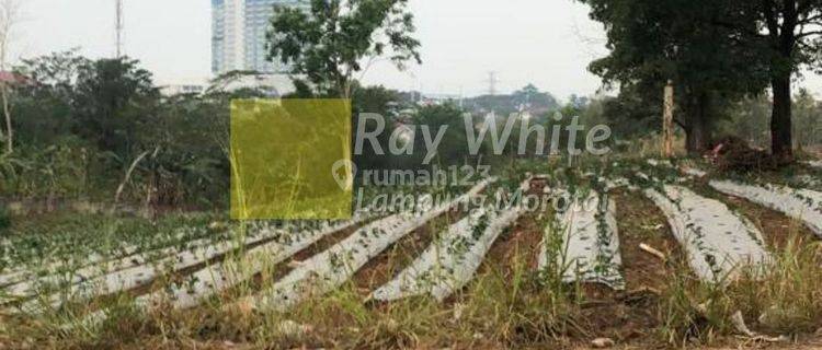 Tanah Perkebunan Sipa Bangun lin 1