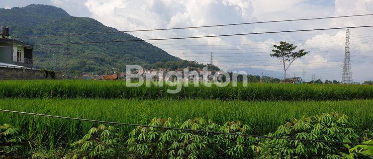 Tanah Sawah luas di Jatinangor dekat kampus Unpad dan ITB 1