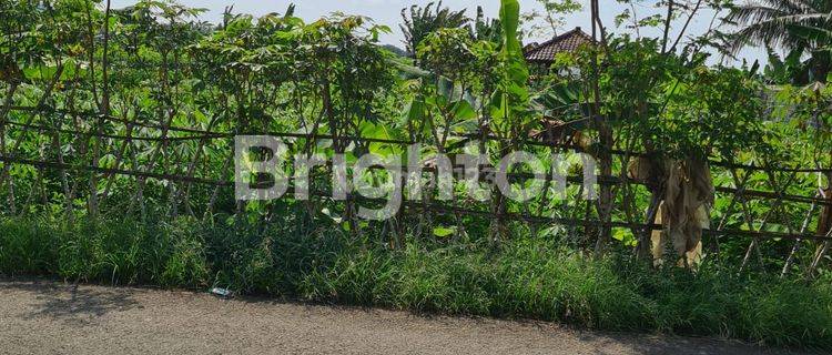 TANAH  VIEW GUNUNG SALAK 15 MENIT DARI EXIT TOL BOCIMI CIGOMBONG 1