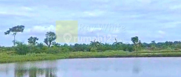 Tanah tambak lokasi labuhan maringgai lampung timur 1
