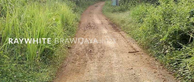 Kavling Tanah Dekat dengan Pantai Anyer Area Serang Banten 1