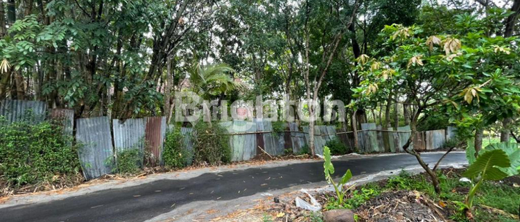 TANAH BERGAS UNGARAN ZONA KUNING SIAP BANGUN HARGA MURAH 1