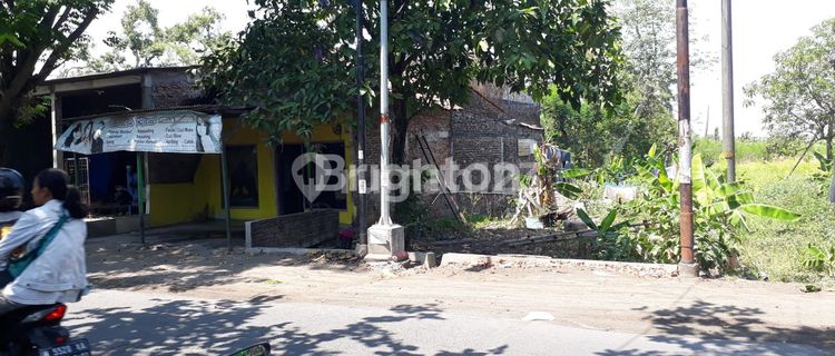 DIBAWAH HARGA PASAR, TANAH LUAS, STRATEGIS DAN JALAN LEBAR 1