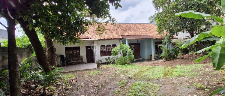 DIJUAL CEPAT Rumah Tua BUKIT CINERE Hitung Tanah  1