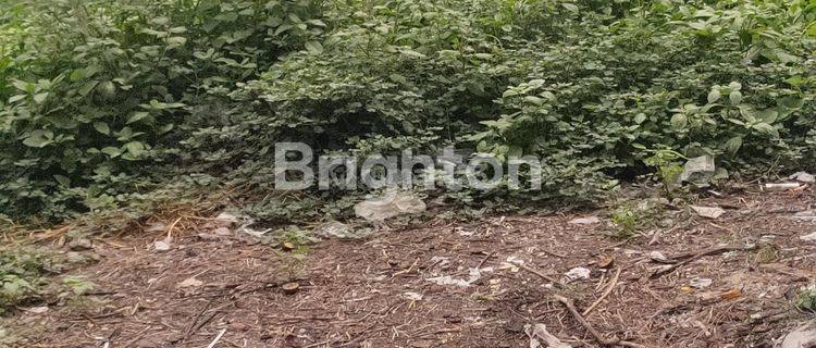 tanah strategis nol.jalan besar wiyung 1