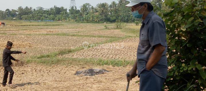 Tanah Murah  Cocok Buat Perumahan 1