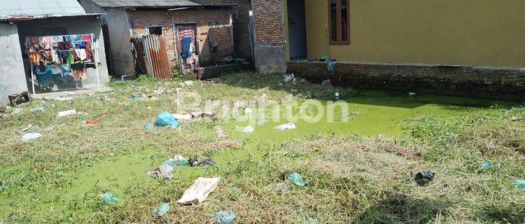 TANAH TAPAK RUMAH MURAH DI MARELAN PASAR 5 1