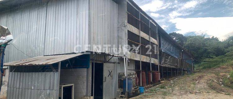 Tanah Beserta Kandang Ayam Boiler Di Karawang Tempat Strategis 1