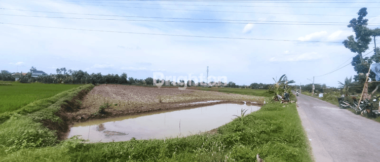 TANAH NOL JALAN DESA SIDOMUKTI LAMONGAN 1