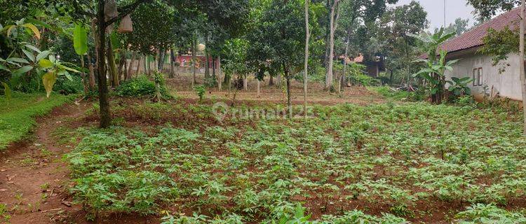 Tanah Kebun 3610 M2, Bonus Rumah di Cibungbulang Kabupaten Bogor 1