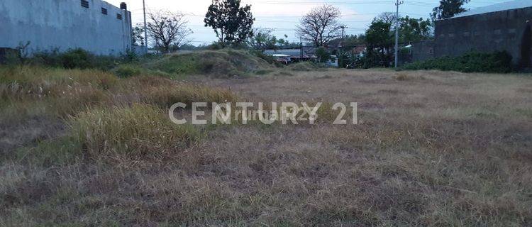 Tanah Matang Siap Bangun Mainroad Dekat Exit Tol Gondangrejo 1