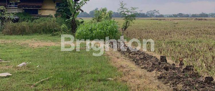 Hanya 2 Menit Ke Jalan Raya Provinsi ‼️ Lahan Murah Kraksaan Probolinggo 1