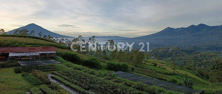 Tanah Cocok Untuk Tempat Wisata Resto Maupun Perkebunan 1