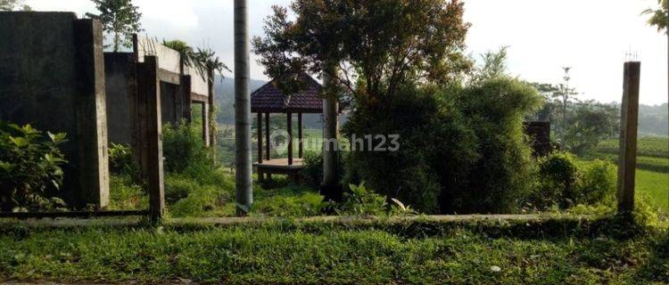 TANAH KOMERSIAL TAMIAJENG TRAWAS 1