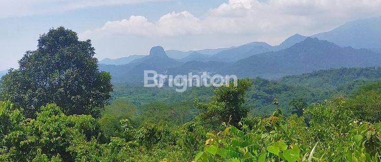 TANAH 1,2HA KAMPUNG KARANGSARI DESA MEKARWANGI CARIU BOGOR TIMUR 1