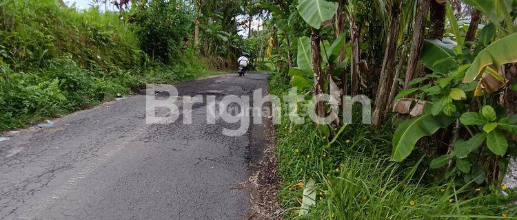 TANAH KEBUN PINGGIR JALAN WISATA UBUD 1