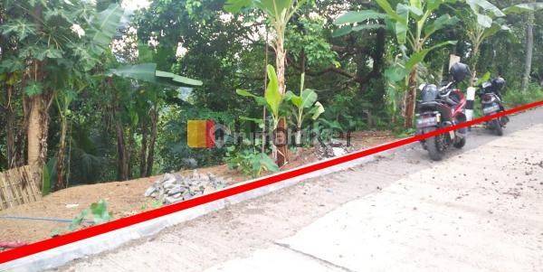 Land in Bukit Korea Lombok Barat Suitable for Plantation or Investment 1