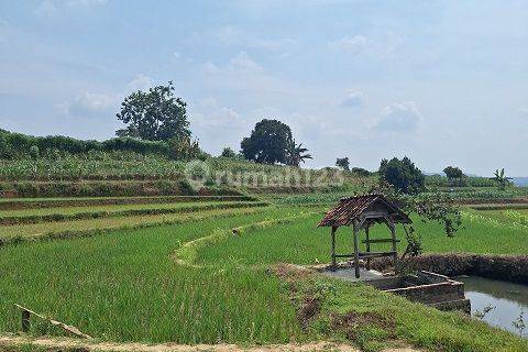 TANAH SOKOGUNUNG TUBAN 67667 1