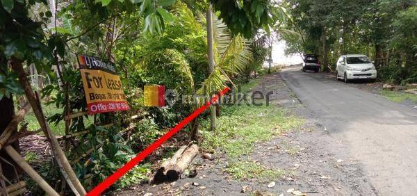 Land In Pekutatan Jembrana Walking Distance To Pangkung Jukung Beach 1