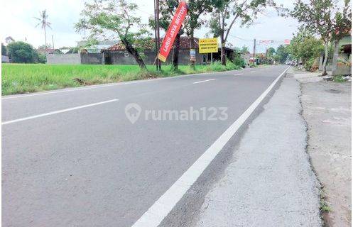 Tanah Strategis Dekat Kampus UMY Jogja 1