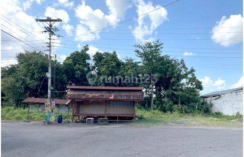 Tanah Jogja Akses 6 Meter, Timur Kota Gede 1