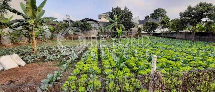 Kalo Bangun Perumahan Cocok Bingits,di Setrasari,pasteur Bandung 1