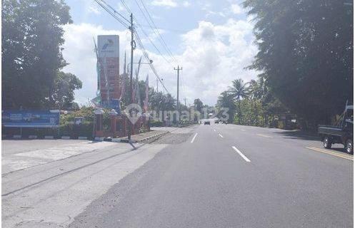 Tanah Pekarangan Dekat Bandara Internasional Yogyakarta 1